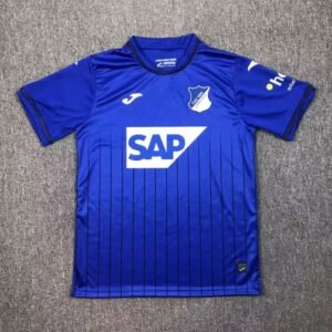 2024-2025 TSG 1899 Hoffenheim HomeFootball Shirt 1:1 Thai Quality